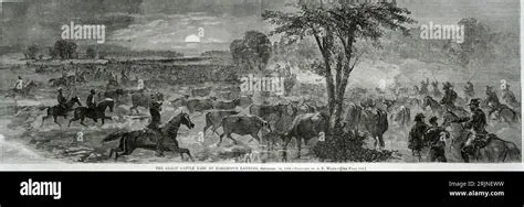 The Great Cattle Raid of 247 CE: Exploring Pastoralism, Social Structures and the Rise of Tribal Conflicts in Early South Africa